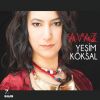 Download track Yağmur Yağdı Bulandı Hava (Bozlak)