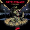 Download track Rattlesnake (Magda's Blotter Traxion Remix)