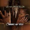 Download track Comme On Rêve (Priscillia)