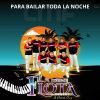 Download track Son Putleco / La Iguana / El Sinaloense