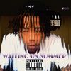 Download track Waiting On Summer