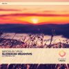 Download track Slovakian Meadows (Original Mix)