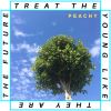 Download track Treat The Young Like They Are The Future (Reversed Version)