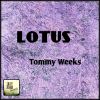 Download track Lotus (Original Mix)