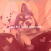 Download track Inspiring Smooth Jazz Saxophone - Vibe For Sweet Dogs