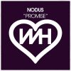 Download track Promise (Radio Mix)