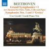 Download track Symphony No. 1 In C Major, Op. 21 (Arr. J. N. Hummel For Flute & Piano Trio) IV. Finale. Adagio - Allegro Molto E Vivace