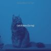 Download track Music (Relaxing Cats)