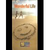 Download track WONDERFUL LIFE