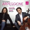Download track Cello Sonata In A Minor D. 821, Arpeggione II. Adagio