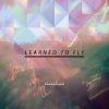 Download track Learned To Fly (More Air Drum And Bass Remix)