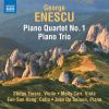 Download track Piano Trio In A Minor- II. Allegretto Con Variazioni'