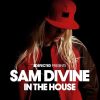 Download track Defected Presents Sam Divine In The House (Continuous Mix 2)