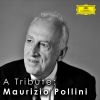 Download track Préludes, Op. 28: 20. In C Minor (2011 Recording)