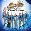 Download track A Puras Mordidas