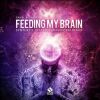 Download track Feeding My Brain (Synthetic System & Waveform Remix)