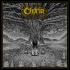 Download track Maria's Tale, Pt. I Thorn Queen