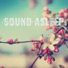 Download track Cherry Blossom Field Summer Breeze Ambience, Pt. 2