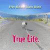 Download track True Life