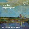 Download track Impromptu In C Minor D. 899 / 1, Op. 90 / 1