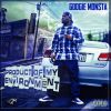 Download track Product Of My Environment