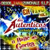 Download track El Baile Del Gorila