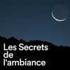 Download track Musique Ambiance Zen