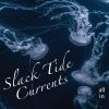 Download track Slack Tide Summertime