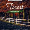Download track Forest Song