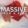 Download track The Rose (Circus Park Drum And Bass Mix)