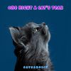 Download track Cats Best Friend
