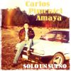 Download track Como Yo Nadie