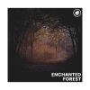 Download track Enhance The Forest