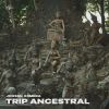 Download track Trip Ancestral (Extended Mix)