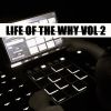 Download track Life Of The Why 2