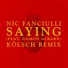 Download track Saying (Koelsch Remix)