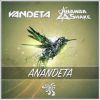 Download track Anandeta