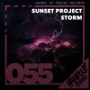 Download track Storm (Extended Mix)