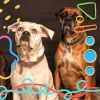 Download track Funky Sleepy Pups