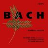 Download track 15 - Johannes-Passion BWV 245 _ 39. C