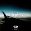 Download track Sunflight Feelings (Original Mix)