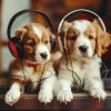 Download track Resting Puppy Sounds