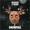 Download track Snowfall (Extended Mix)