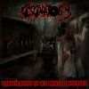 Download track Uterus Massive Corrosion By Injections Of Shit And Semen
