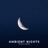 Download track Rest Your Mind (Ambient Nights Intro)