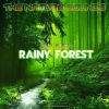 Download track Summer Rainy Forest-2