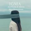 Download track Igma