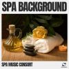 Download track Soothing Spa Music