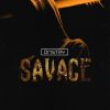 Download track Savage