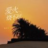 Download track 爱火烧不尽 (伴奏)